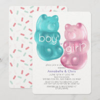 Revelação de Gênero do Urso Cinza Rosa e Azul