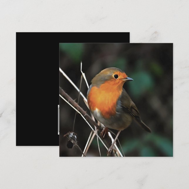 Convites Robin Sendo Brilhante Em Uma Arte Acrílica De Dia  (Frente/Verso)