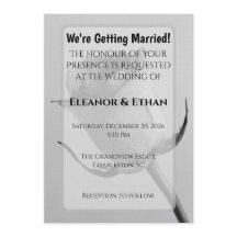 Rosa Artística Minimalista Preta e Branca