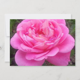 Convites Rosa Rosa Romântica 'Leonardo Da Vinci'