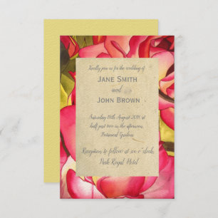 Convites Rosa Rosa rosa rosa, cor-de-água, arte russa