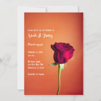 Rosa Vermelha Pôr do Sol Laranja Casamento Românti