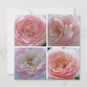 Convites Rosas bonito