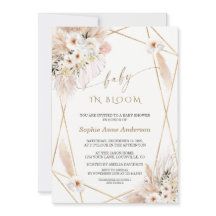 Rosas brancas do deserto deixam bebê Dourado em sa