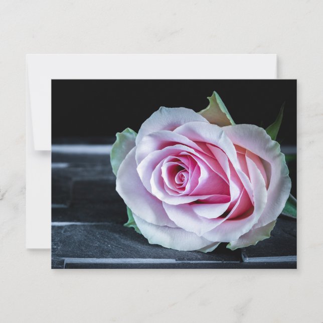 Convites Rosas Cor-de-Rosa e Verde (Frente)