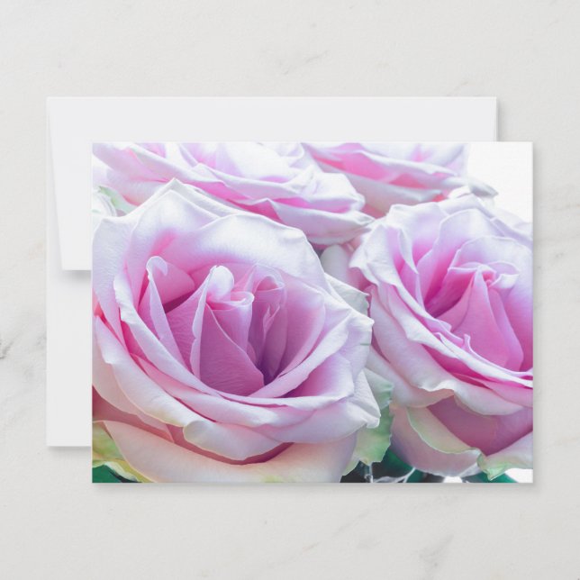 Convites Rosas Cor-de-Rosa e Verde (Frente)