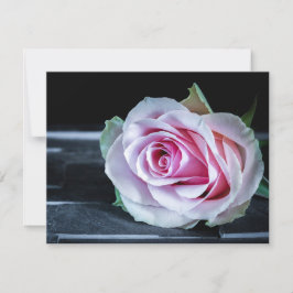 Convites Rosas Rosa e Verde