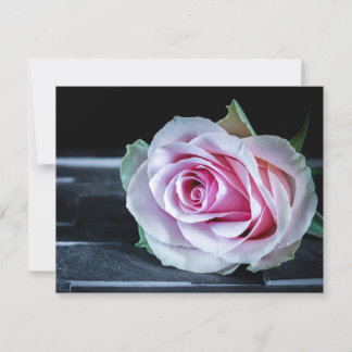 Convites Rosas rosa e verde