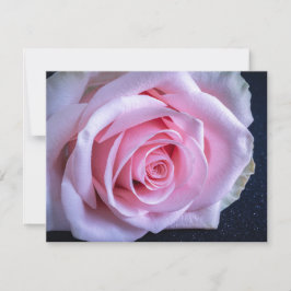 Convites Rosas rosa e verde