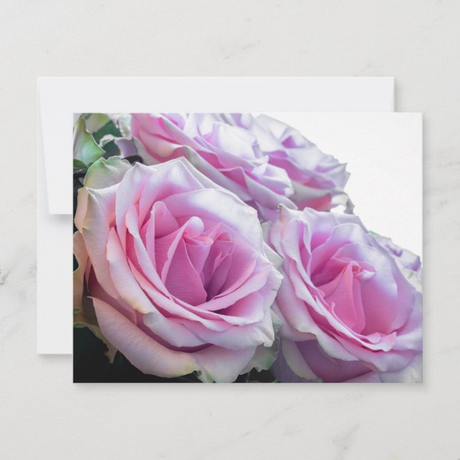 Convites Rosas Rosa e Verdes (Frente)