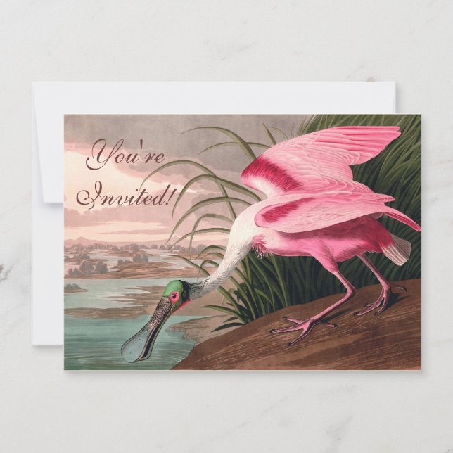 Convites Roseate Spoonbill Audubon Bird Willife (Frente)