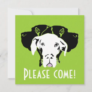 Convites Rosto de Grande Danês Suado   Doggenhaus