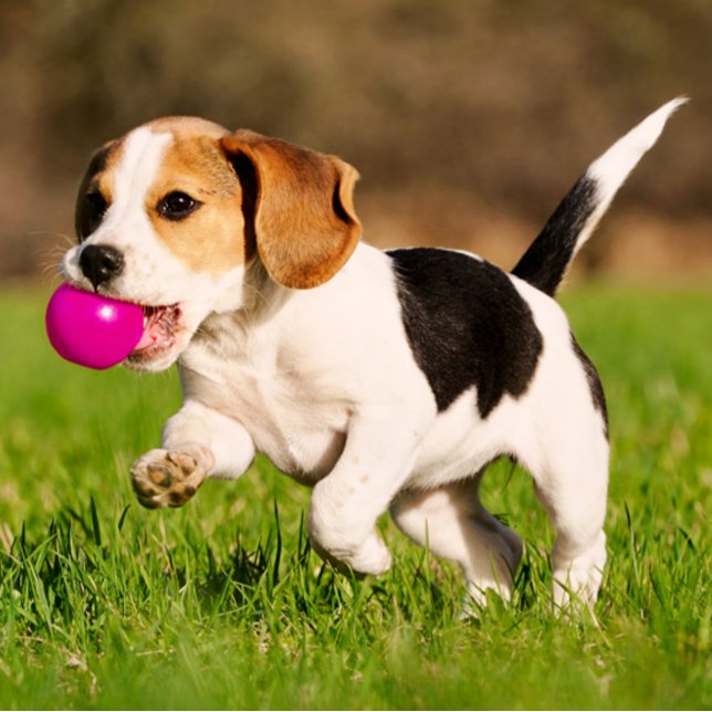 Convites rthrdhtr (Criador carregado)