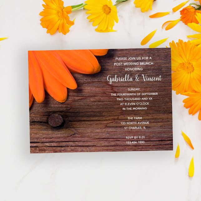 Convites Rustic Daisy Barn Wood Posta Wedch Brunch (Criador carregado)