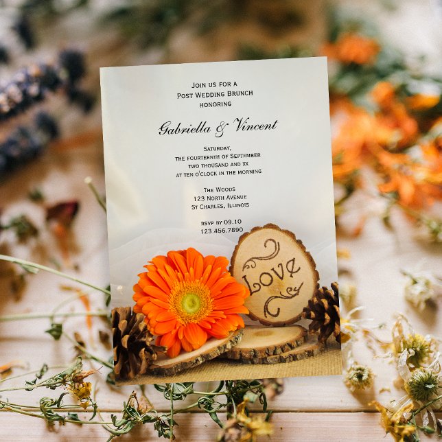 Convites Rustic Orange Daisy Woodland Posta Wedch Brunch (Criador carregado)