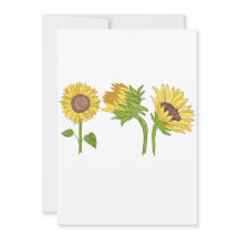 Sangue de girassol pintado à mão