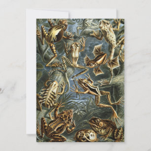 Convites Sapos e rãs antigos Batrachia por Ernst Haeckel