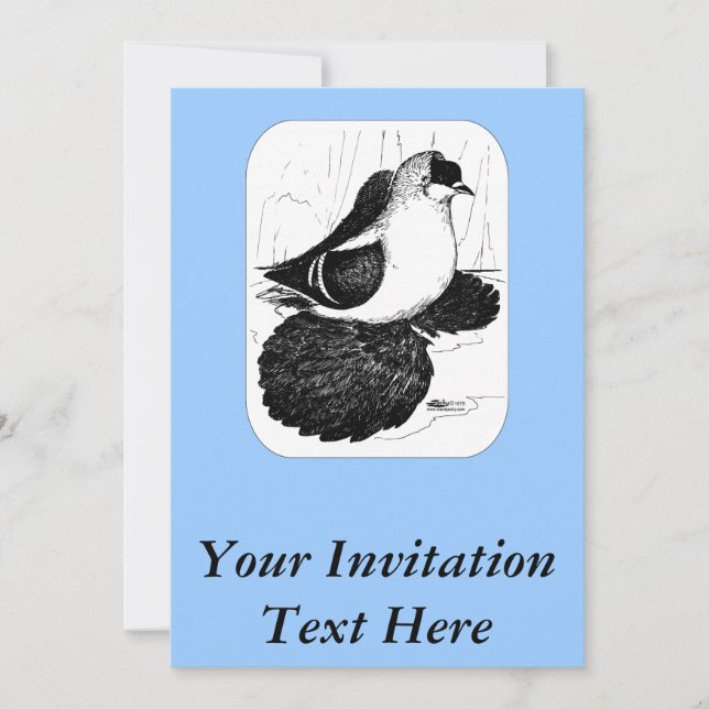 Convites Saxon Swallow Pigeon 1978 (Frente)