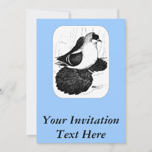 Convites Saxon Swallow Pigeon 1978