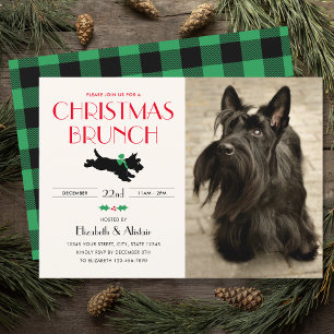Convites Scottie Dog Photo Green do Partido Brunt de Natal