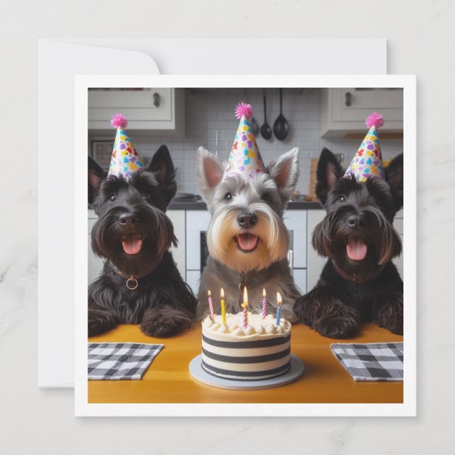 Convites Scottish terrier card, Scottish terrier aniversári (Frente)