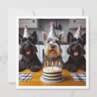 Scottish terrier card, Scottish terrier aniversári