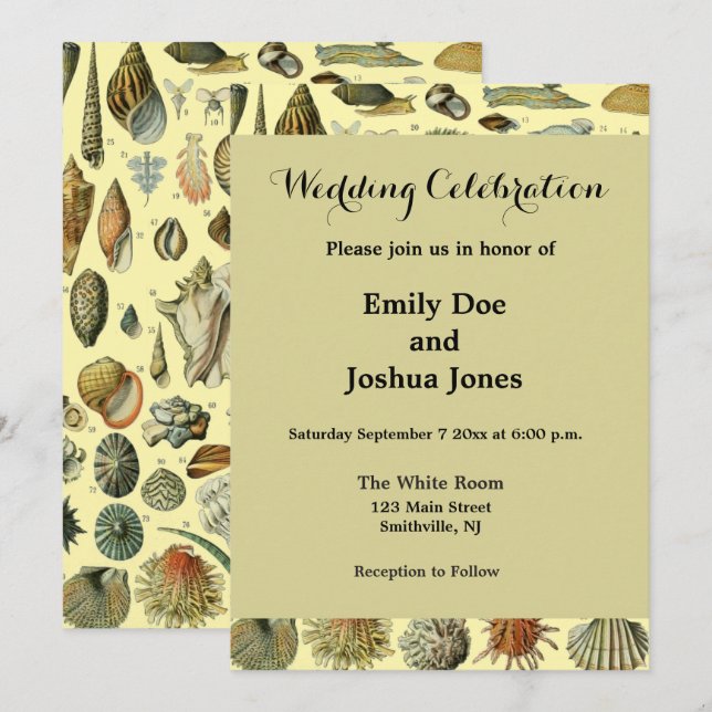 Convites Seashell Shell Mollusk Clam Elegant Clam Art (Frente/Verso)