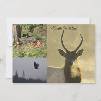 Convites Seattle Wildlife