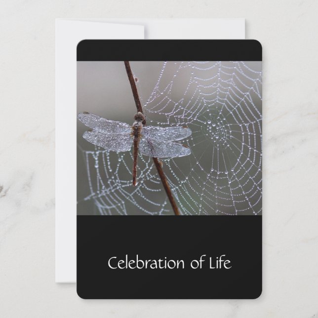 Convites Serviço Memorial Convide Dragonfly Dewdros (Frente)