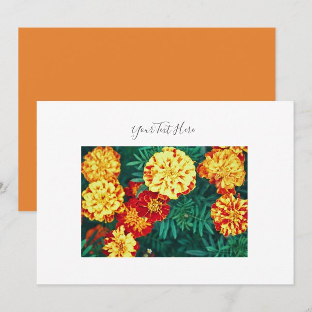 Convites Seu Texto Feliz, Brilhante, Marigold Flowers Convi (Frente/Verso)