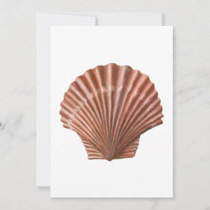 Convites Shell Scallop