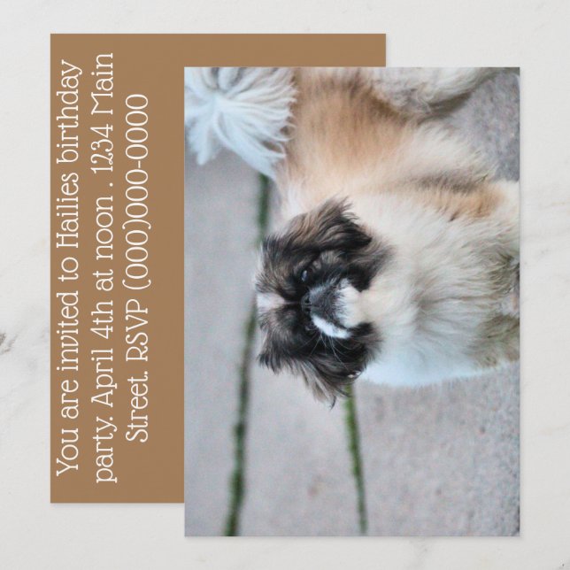 Convites Shih Tzu (Frente/Verso)