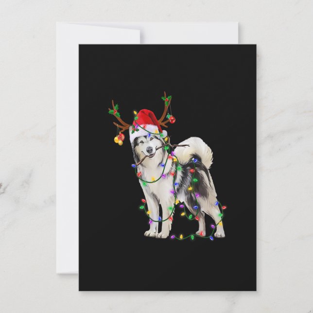 Convites Siberian Husky Dog Tree Christmas Lights Xmas Paja (Frente)