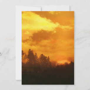 CONVITES SOL DA MANHÃ NATURE