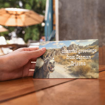 Sorrindo burro, Arizona de Oatman