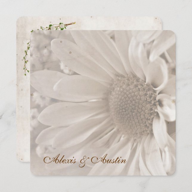 Convites Suave Sepia Wedding Daisy (Frente/Verso)