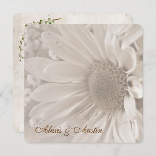 Convites Suave Sepia Wedding Daisy
