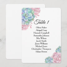 Suculentas rosa azul. Gráficos de assentos de casa