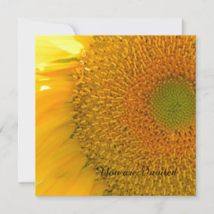Convites Sunflower Birday