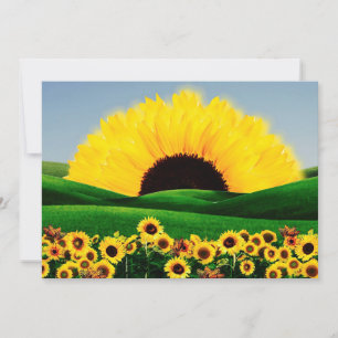 CONVITES SUNFLOWER HILL