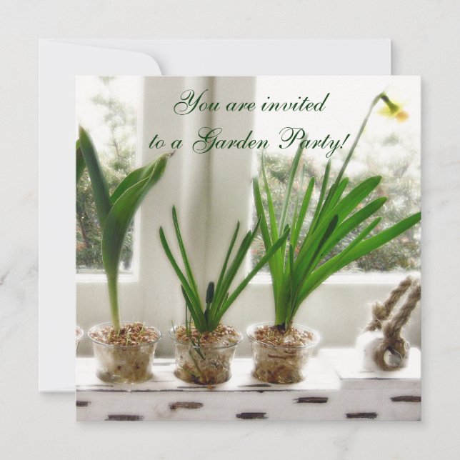Convites Sunny Daffodils na janela (Frente)
