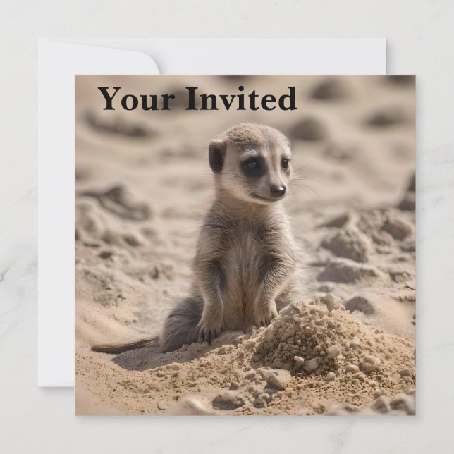 Convites "Sunny Days: Baby Meerkat's Beach Adventure" (Frente)