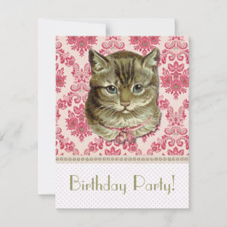 Convites Tabby cat
