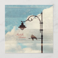 Tartaruga Doves - amor e fidelidade
