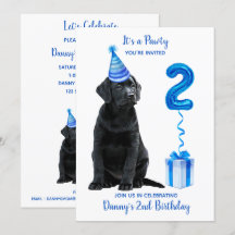 Tema Da Cãozinha segundo aniversário - Cachorro Az