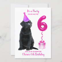 Tema Da Papoila De 6 Aniversário- Garota Rosa De C