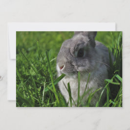 Convites Tempo do petisco