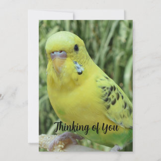 Convites Thinking of You card