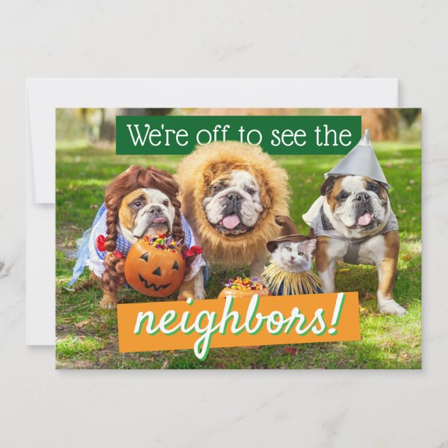 Convites Three Bulldogs in Costumes (Frente)