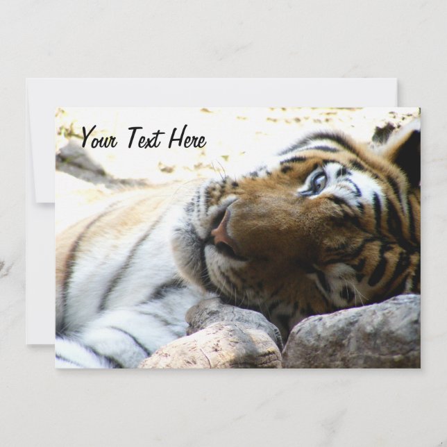 Convites Tigre Winking (Frente)